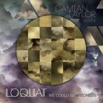 We Could Be Arsonists (Damian Taylor Remix)