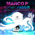 Running Rabbit (remixes)