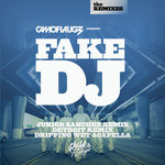 Fake DJ (The Remixes) (Explicit)