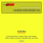Where Does Music Go (remixes)