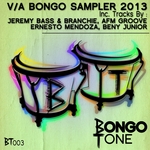 Bongo Tone Sampler 2013