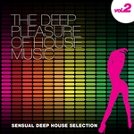 The Deep Pleasure Of House Music Vol 2 (Sensual Deep House Selection)