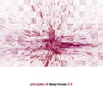 Principles Of Deep House 5 0