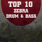 Top 10 Zebra Drum & Bass