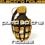Pump Up The House 2: Electro House