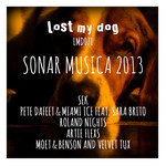 Sonar Musica 2013