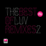 The Best Of LuvDisaster Vol 2 Incl Remixes & VIPs