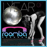 1 Year Of Roomba Records