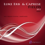 Fields 2013 Remixes