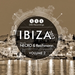 040 Recordings Ibiza 2013 Vol 2 (mixed by Necro & Reichmann) (unmixed tracks)