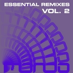 Essential Remixes Vol 2