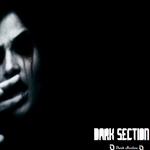 Dark Section VA Album 02