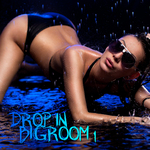 Drop In Bigroom Vol 1