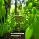 Wicked Seeds Volume @