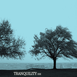 Tranquility 008