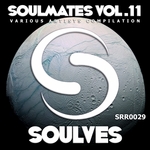 Soulmates Vol 11