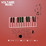 Synths & Notes 80