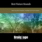 Best Nature Sounds