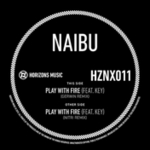 Play With Fire (remixes)