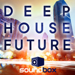 Deep House Future (Sample Pack WAV)