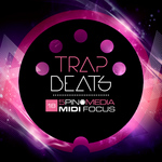 MIDI Focus: Trap Beats (Sample Pack WAV/MIDI/MASCHINE/BATTERY/SFZ)