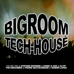 Bigroom Tech House Vol  1