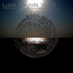 Lucid Sounds Vol 9: A Fine & Deep Sonic Flow Of Club House Electro Minimal & Techno