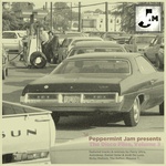 Peppermint Jam Presents The Disco Files Vol 3