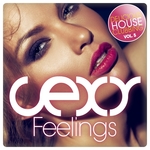Sexy Feelings: Delicious House Clubbing Vol 5