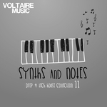 Synths & Notes Vol 11 (Deep & Tech House Collection)