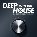 Deep In Your House Vol 3 Classic Hits Selected