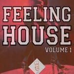 Feeling House Vol 1
