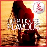 Deep House Flavour Vol 3