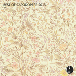 Best Of Capodopere 2013