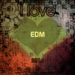 I Love EDM 2014 Vol 2 (Final Edm Top 20 Hits Goa Top Beats Essential)