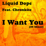 I Want You (09 Mixes)