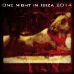 One Night In Ibiza 2014 (DJ Dance Compilation)