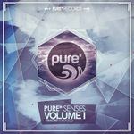 Pure* Senses - Selected Soulfood Vol 1