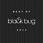 Best Of Black Bug 2013