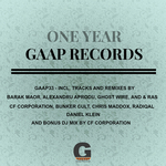 One Year Of Gaap Records