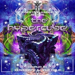 VA The Hypercube