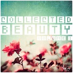 Collected Beauty Vol 1