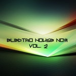 Electro House Now Vol 2