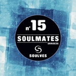 Soulmates Vol 15
