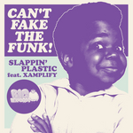 Can't Fake The Funk (remixes)