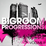 Bigroom Progressions Vol 8