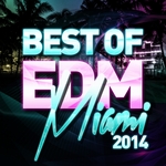 Best Of EDM: Miami 2014