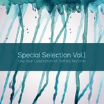 Special Selection Vol 1: One Year Celebration Of Tiefblau Records