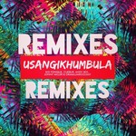 Usangikhumbula: Remixes