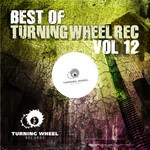 Best Of Turning Wheel Rec Vol 12